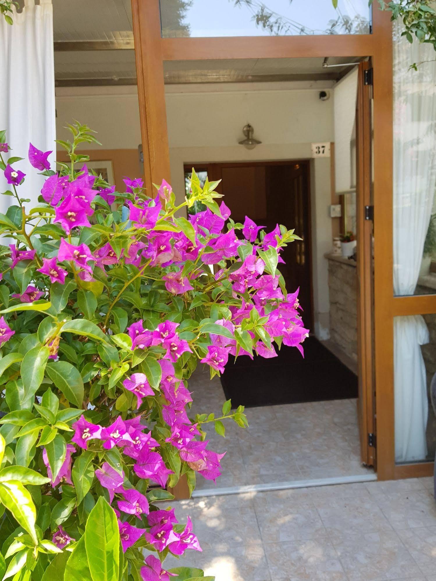 Boutique Hotel Santa Maria Novigrad Istria Exteriér fotografie